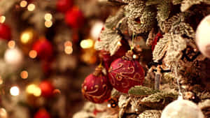 Beautiful Christmas pictures — Krismasi aesthetic Picha ya Ukuta