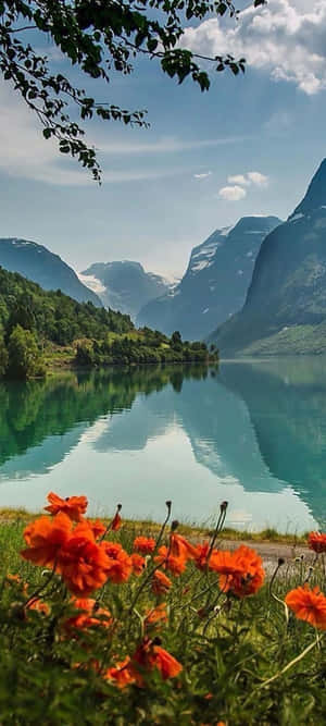1440x3200 — Machweo ya ufukweni Picha ya Ukuta