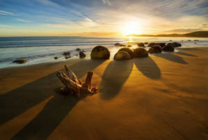 Mashua ya Jua Pwani New Zealand wallpaper