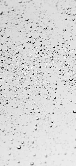 1290x2796 — Fairphone Picha ya Ukuta