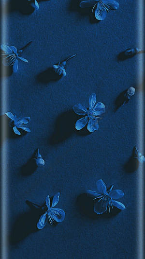 Maua Aesthetic Bluu Giza HD — Aesthetic Dark Blue Picha ya Ukuta