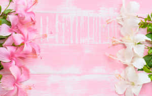 Maua ya Pinki Background
