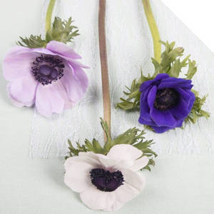 Wallpaper ya Maua ya Anemone Tatu — 1:1 Picha ya Ukuta