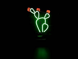 Maua ya Cactus Neon Kijani Aesthetic