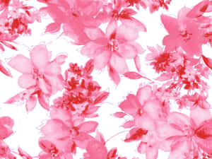 Maua ya Waridi Pink — Pink Floral Picha ya Ukuta