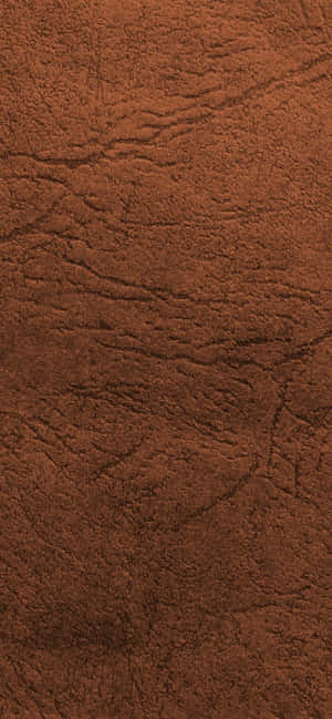 828x1792 — Pixel 7 Picha ya Ukuta