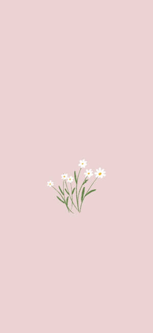 Spring Minimalisti — Galaxy A57 Picha ya Ukuta
