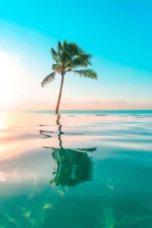 Tropical pictures — Xiaomi Pad 7S Pro 12.5 Picha ya Ukuta