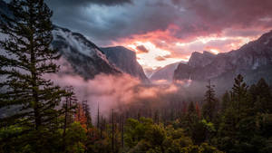 Foggy Forest Landscape wallpaper — 2560x1440 Picha ya Ukuta
