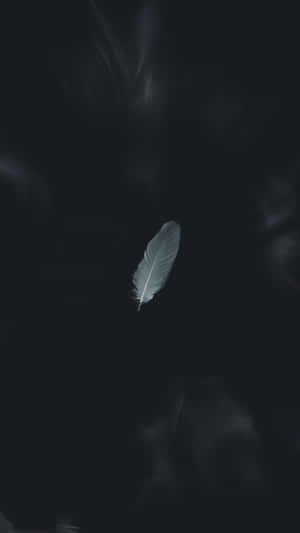 Picha za mchanganyiko wa kijamii wa rangi nyeusi na nyeupe — Aesthetic nyeusi na nyeusi Picha ya Ukuta