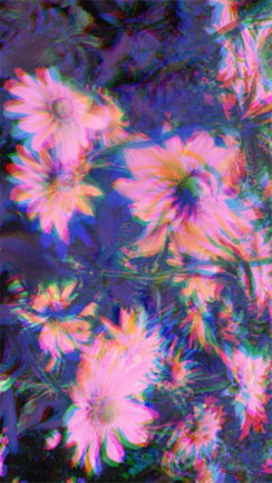 Mchanganyiko wa Daisies wa Aesthetic