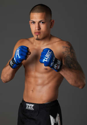 Mchezaji wa UFC wa Latino Mwenye Mwanga Anthony Pettis — Vivo Pad5 Picha ya Ukuta