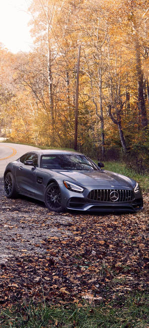 Mercedes AMG IPhone Autumn Trees — iPhone 14 Plus Picha ya Ukuta
