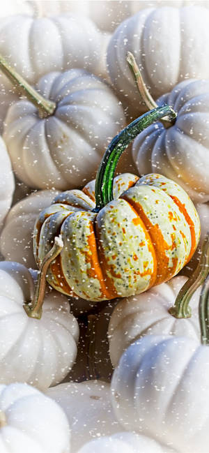 Picha ya Nyuma ya iPhone ya Thanksgiving Mfuko wa Pumpkins — iPhone Xs Picha ya Ukuta
