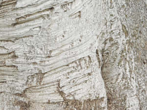 maelezo, mbao, nyuma, nyenzo, mchakato, mfumo, abstract, mti, texture, mzee, uso, asili, timba, kuni, muundo, mchakato, kuzeeka, mmea, upande wa karibu, mazingira — Dhahania Picha ya Ukuta