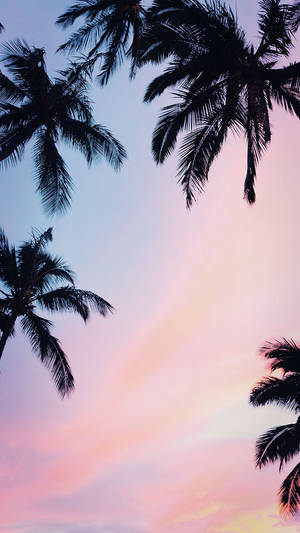 Miti ya Kifua Iphone Xs Wallpaper — iPhone Xs Picha ya Ukuta