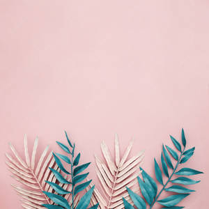 Majani ya Tropiki kwenye Mandhari ya Pink Pastel Wallpaper — Pixel Watch Picha ya Ukuta
