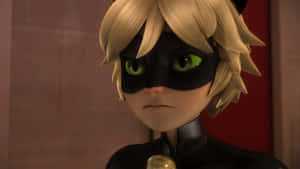 Picha za Cat Noir