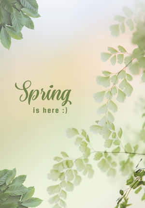 Asili Bora ya Spring — Vivo Pad5e Picha ya Ukuta