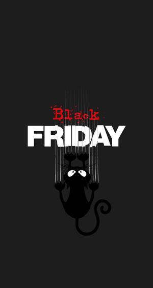 Picha ya paka ya Black Friday