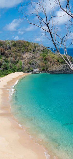 Mkoa wa pwani wa Turks and Caicos wallpaper — ROG Phone 9 Picha ya Ukuta