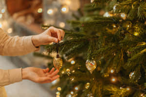 Mandhari ya Picha ya Krismasi — Krismasi aesthetic Picha ya Ukuta