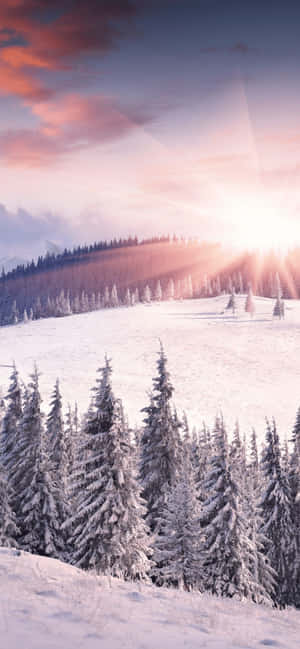 Iphone Xs Max Winter Background — Moto G17 Picha ya Ukuta