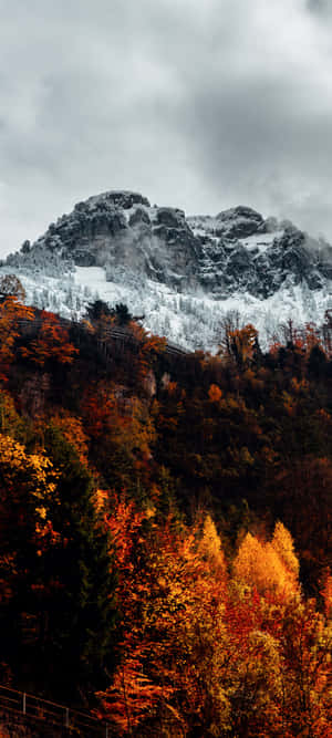 Fall Mountain — Moto E14 Picha ya Ukuta