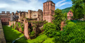 Mossi Kijani wa Heidelberg Castle — Kijani aesthetic GIF Picha ya Ukuta