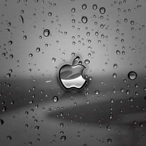 Ipad ya Kijivu na Kupendeza