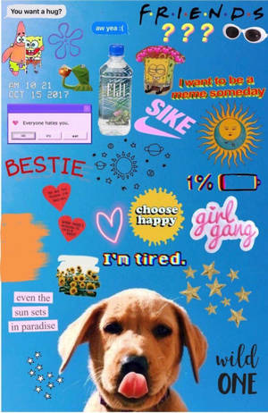 Mrembo VSCO Collage ya Labrador Puppy Mwenye Mrembo — Infinix Xpad GT Picha ya Ukuta