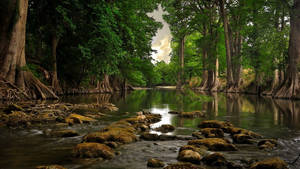 Mto wa Jungle wenye Mwanga wallpaper