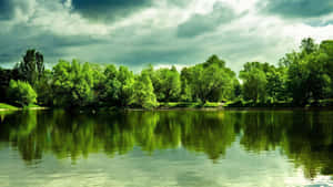1920X1080 pictures — 1920x1080 Picha ya Ukuta