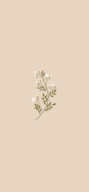 Mandhari ya Aesthetic Beige — Aesthetic beige Picha ya Ukuta