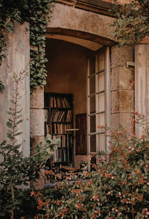 Picha za kahawia za kifahari — Aesthetic brown Picha ya Ukuta