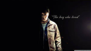 Mvulavu wa Harry Potter Ipad — Aesthetic Harry Potter Picha ya Ukuta