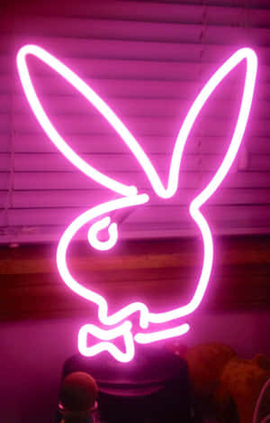 Picha za mwonekano wa Neon Pink — Pink nyepesi ya urembo Picha ya Ukuta