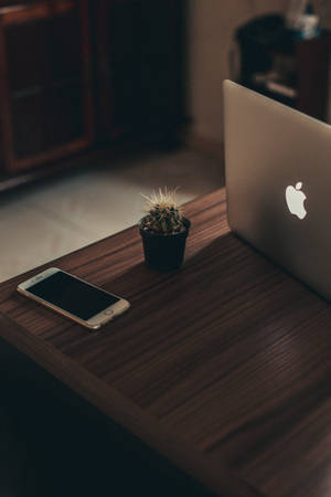 Mwangaza wa Mazingira ya Usiku kutoka Skrini ya Mac — Aesthetic mac Picha ya Ukuta