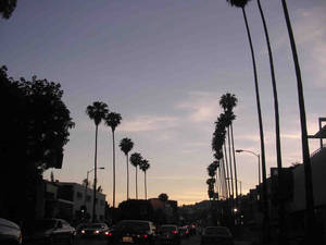 Mwangaza wa Sunset Boulevard Samawati ya Wazi wallpaper