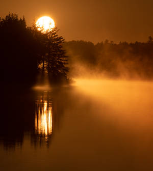 Golden Sun In Foggy Forest Wallpaper — Galaxy Z Fold Picha ya Ukuta