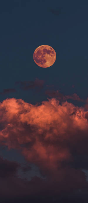 Scary Lunar Moon Halloween iPhone wallpaper — Sony Xperia Picha ya Ukuta