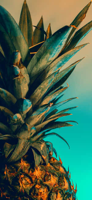 Iphone 12 Pro background