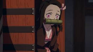 Nezuko wa Demon Slayer Kikapu Mpya