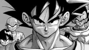 Picha za Dragon Ball — Dragon ball Picha ya Ukuta