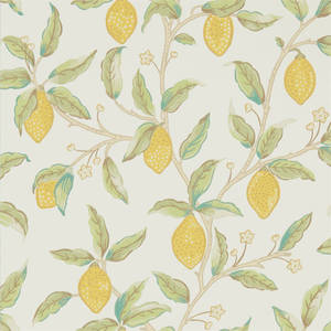 Lemon Tree Leaf wallpaper. — Tecno Phantom V Flip Picha ya Ukuta