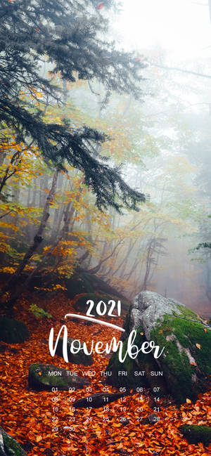 November 2021 Calendar foggy forest wallpaper — iPhone 13 Pro Max Picha ya Ukuta