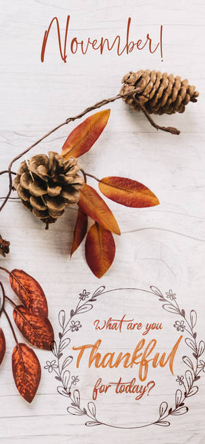 November Thankful For Today wallpaper — iPhone 14 Plus Picha ya Ukuta