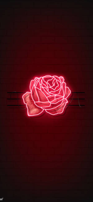 Tapeta la rose nyekundu ya LED — iPhone 11 Pro Picha ya Ukuta