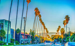 Nyumba za Sunset Boulevard wallpaper