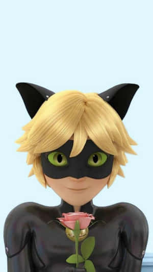 Picha za Cat Noir